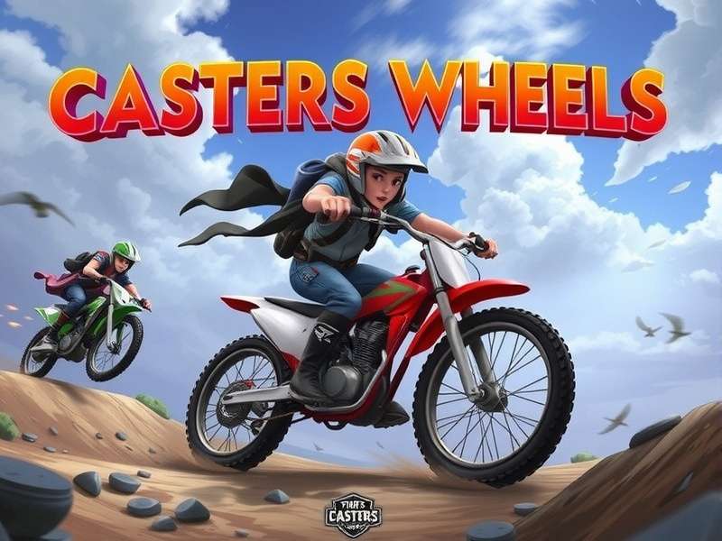 Close-up technical diagram of caster wheel bearing types